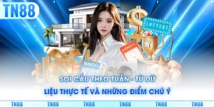 Soi Cầu Theo Tuần - Từ Dữ Liệu Thực Tế Và Những Điểm Chú Ý